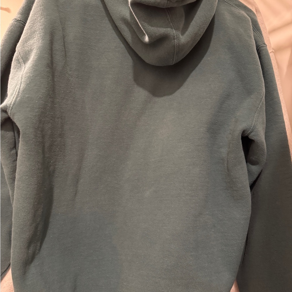 Glossier Sage Hoodie - Picture 4 of 4
